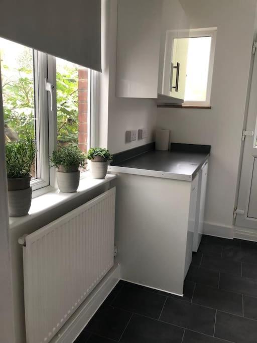 Garden Flat In Central Location Lejlighed London Eksteriør billede